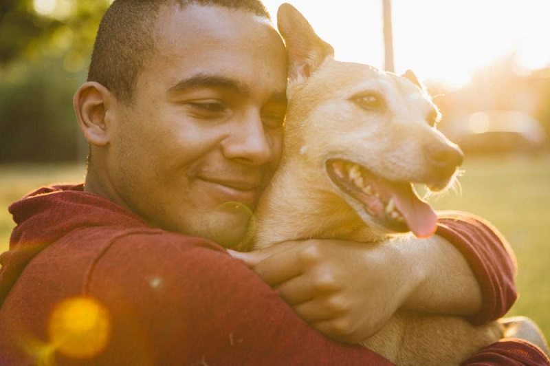 7 סיבות מדהימות למה אתה צריך להיות בעל כלב