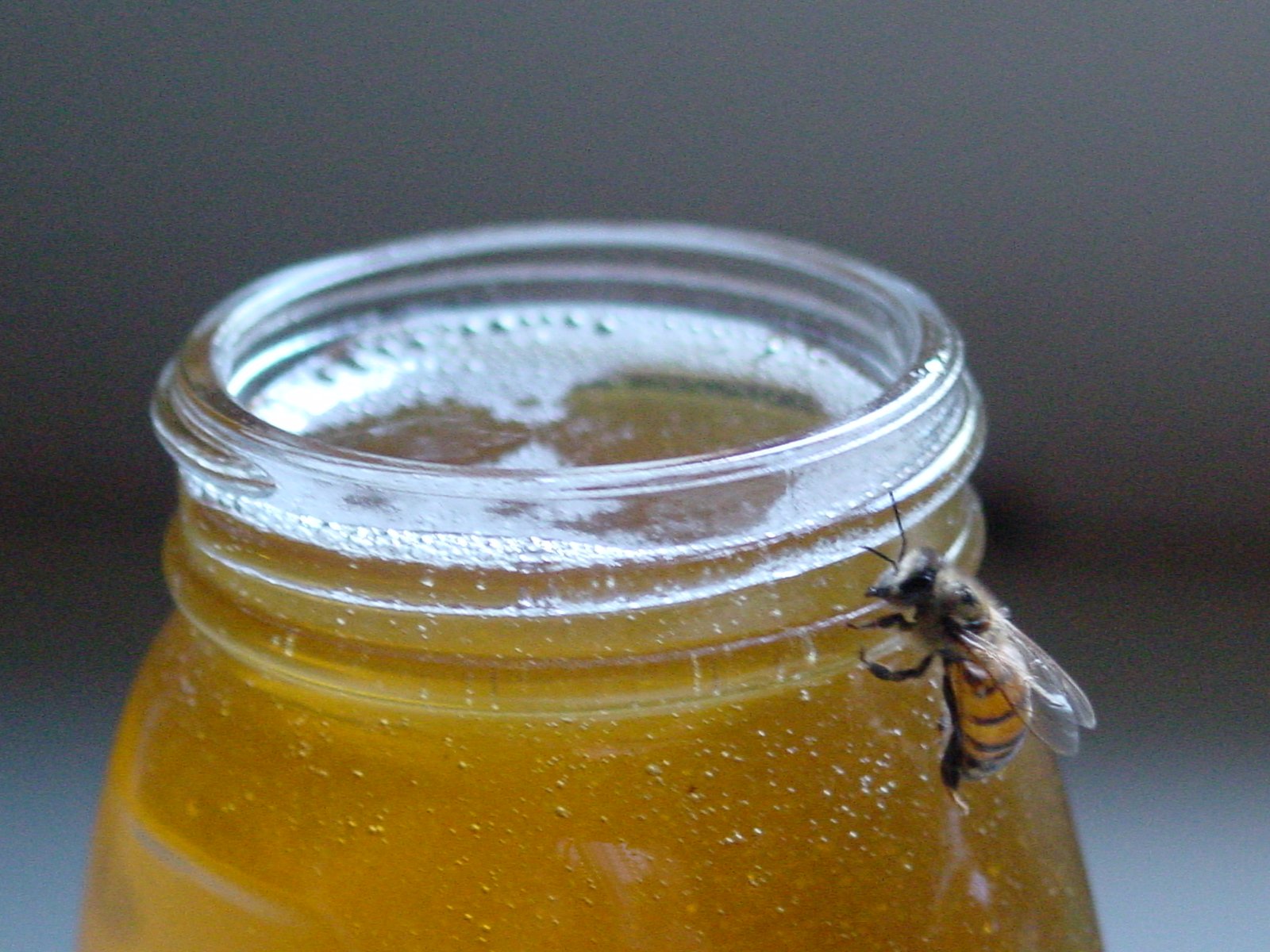 Вкушая вкусив мало меда. Мед. Баночка для меда. Пчелы и мед. Мёд натуральный.